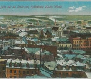 79872  -  LITHUANIA  -  VINTAGE   POSTCARD  -  WILNO Vilna  1918