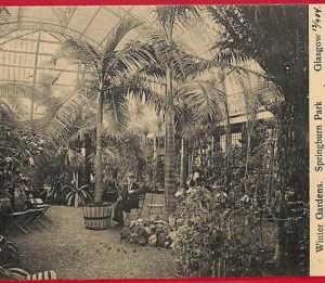 ai0131 -  GREAT BRITAIN - VINTAGE POSTCARD - Glasgow