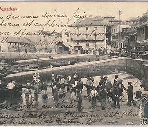 42556  España - POSTAL ANTIGUA  SPAIN vintage postcard  GALICIA Vigo: PESCADERIA
