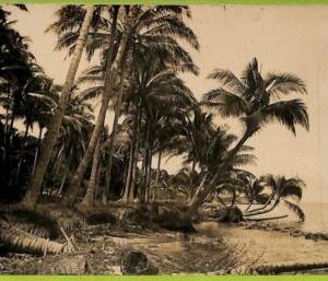 ae9243 - SINGAPORE -  VINTAGE POSTCARD - Tanjong Katong - Real Photo