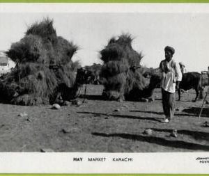 ae9208 -  PAKISTAN -  VINTAGE POSTCARD - Karachi - Hay Market