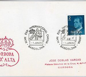 42951 - SPAIN -  POSTAL HISTORY -  special postmark on card - DOG SHOW 1980