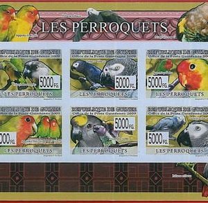 FRENCH GUINEA - ERROR, 2009 IMPERF SHEET: BIRDS, PARROTS, Animals