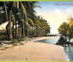 ae9242 - SINGAPORE -  VINTAGE POSTCARD - Tanjong Katong