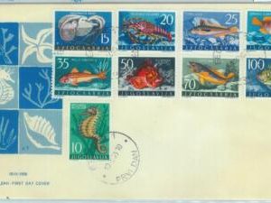 84048 -  YUGOSLAVIA - POSTAL HISTORY -  FDC COVER 1956  FISH marine life OCTOPUS