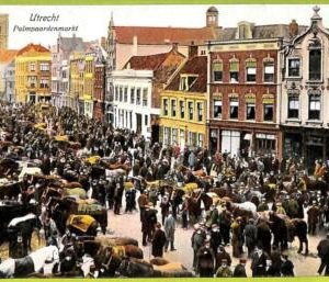 a0546 - NETHERLANDS - VINTAGE POSTCARD  - Utrecht - Palmpaardenmarkt