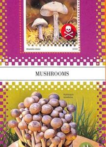 A6973 - SIERRA LEONE, Error, 2018, MISPERF SOUVENIR SHEET: Mushrooms