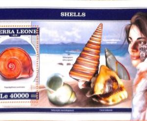 A6975 - SIERRA LEONE, Error, 2018, MISPERF SOUVENIR SHEET: Shells, Marine Life