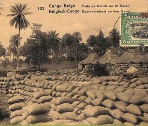 ad3908 - BELGIAN CONGO Belge - Postal History - Picture STATIONERY CARD  Bolobo