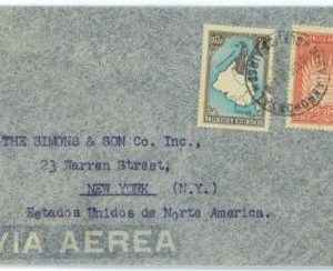 aa3038 - ARGENTINA - POSTAL HISTORY - Airmail  COVER to the USA 1930's