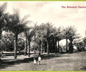 ae9215 - SINGAPORE -  VINTAGE POSTCARD - The Botanical Gardens