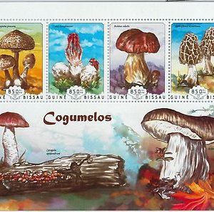 GUINEA BISSAU - ERROR, 2014 MISSPERF SHEET: MUSHROOMS, FLORA, PLANTS, GASTRONOMY