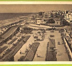 af3328 -  JUDAICA vintage postcard: ISRAEL - TEL-AVIV