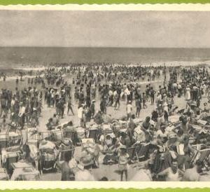 af3329 -  JUDAICA vintage postcard: ISRAEL - TEL-AVIV