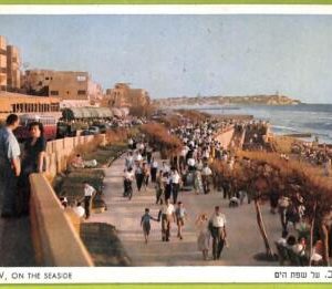 af3336 -  JUDAICA vintage postcard: ISRAEL - TEL-AVIV, On the Seaside - 1955