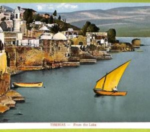 af3346 -  JUDAICA vintage postcard: ISRAEL -  Tiberias - From the Lake