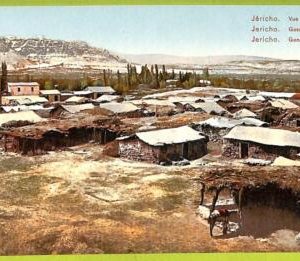 af3281 -  JUDAICA vintage postcard: ISRAEL - Jericho