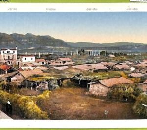 af3282 -  JUDAICA vintage postcard: ISRAEL - Jericho