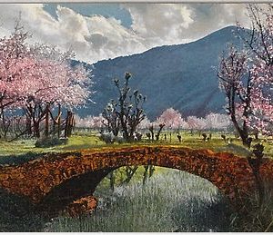 40538  CARTOLINA d'Epoca - BOLZANO : PAESAGGIO rurarle