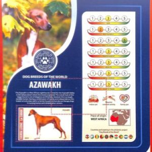 A4828 - SIERRA LEONE - ERROR MISPERF, Souvenir sheet: 2019, Dogs, Azawakh