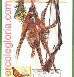 32870 - HUNGARY -  MAXIMUM CARD  - 1971 -  FAUNA, BIRDS Hunting