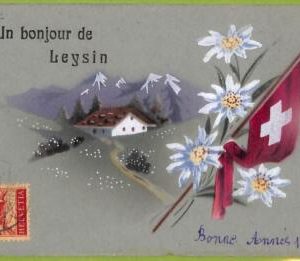 ad4672 - SWITZERLAND Schweitz - Ansichtskarten VINTAGE POSTCARD - Leysin - 1916