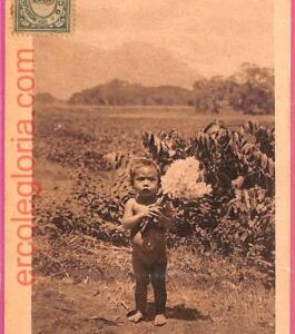 af8968 - INDONESIA - Vintage POSTCARD - Ethnic