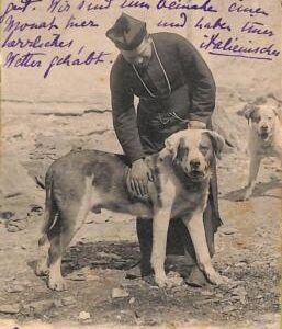 ac1081 - Ansichtskarten  VINTAGE POSTCARD - SWITZERLAND - St.Bernard - 1909