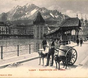 ac1039 - Ansichtskarten VINTAGE  POSTCARD - SWITZERLAND - Luzern 1906 DOG CART