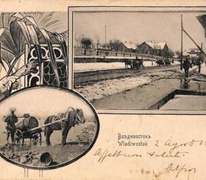 ac0605 - VINTAGE  POSTCARD - RUSSIA - Vladivostok Владивостокъ - 1902