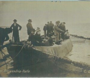 96937 - CARTOLINA d'Epoca - ALESSANDRIA citta' -  FOTOGRAFICA Bella!
