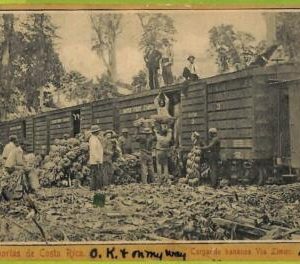 12708 - COSTA RICA - Vintage Postcard  - Cargardo bananos Via Limon