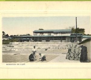 12720 - COSTA RICA - Vintage Postcard  - Beneficio de cafe
