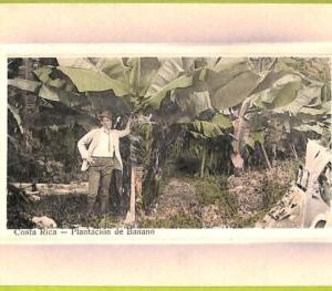 aa6062 - COSTA RICA - Vintage Postcard  - Plantacion de Banano