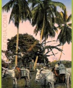 aa6117 - COSTA RICA - Vintage Postcard - Ethnic
