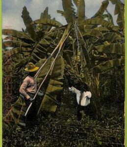 aa6118 - COSTA RICA - Vintage Postcard - Ethnic