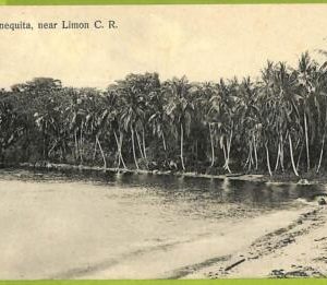 12726 - COSTA RICA - Vintage Postcard  - Sienequita, near Limon C.R.