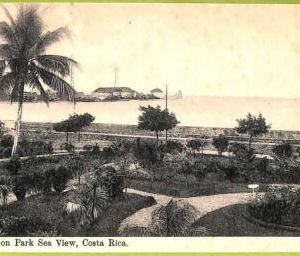 aa6121 - COSTA RICA - Vintage Postcard - Limon Park Sea View