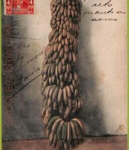 af2322 - COSTA RICA - Vintage Postcard - Limon - 1910's