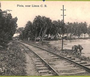 aa6097 - COSTA RICA - Vintage Postcard - Pinta, near Limon