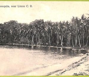 aa6096 - COSTA RICA - Vintage Postcard - Limon, Sienequita