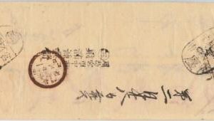 56458 - JAPAN - POSTAL HISTORY: REGISTERED COVER - 28.02.1893