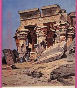 ag2744 - EGYPT - VINTAGE POSTCARD - Temple OE KOM OMBO - 1906