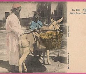 ag2660  - EGYPT - VINTAGE POSTCARD  - Ethnic