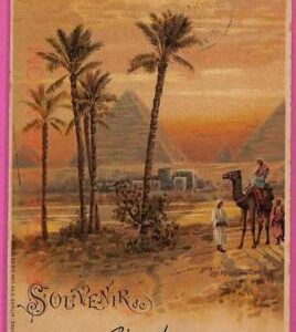 ag2661 - EGYPT - VINTAGE POSTCARD   - Cairo - 1906