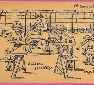 ag2717 - EGYPT - VINTAGE POSTCARD  - Campo di Geneifa