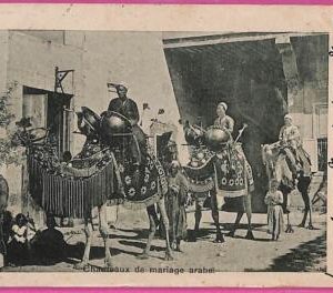 ag2715 - EGYPT - VINTAGE POSTCARD  - Ethnic