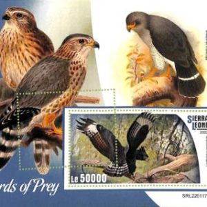 A9322 - SIERRA LEONE - ERROR MISPERF Stamp Sheet - 2022 - BIRDS of Prey