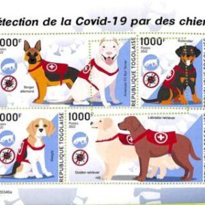 A9654 - TOGOLAISE -  ERROR MISPERF Stamp Sheet - 2022 - Disease, Medicine, Dog