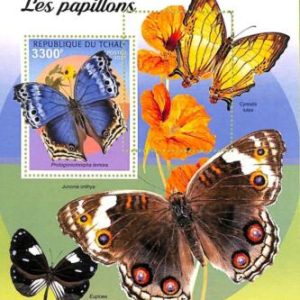 A9571 - TCHAD -  ERROR MISPERF Stamp Sheet - 2021 - Insects, Butterflies